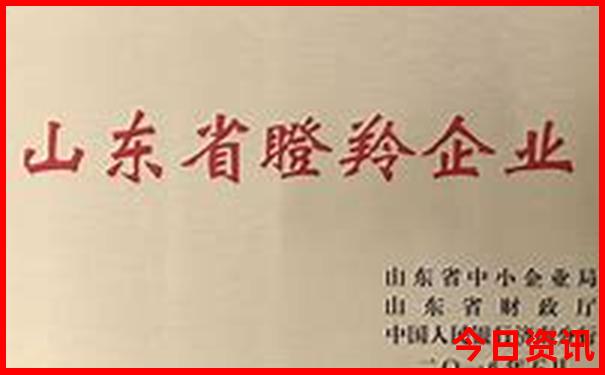 会泽旅游攻略必去景点